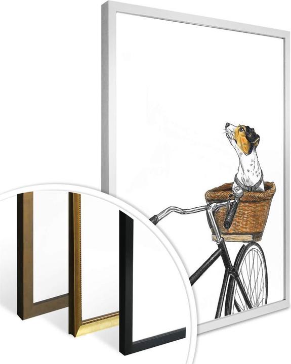 Produktbild Trenddeko Hund im Korb (120 x 150 cm)