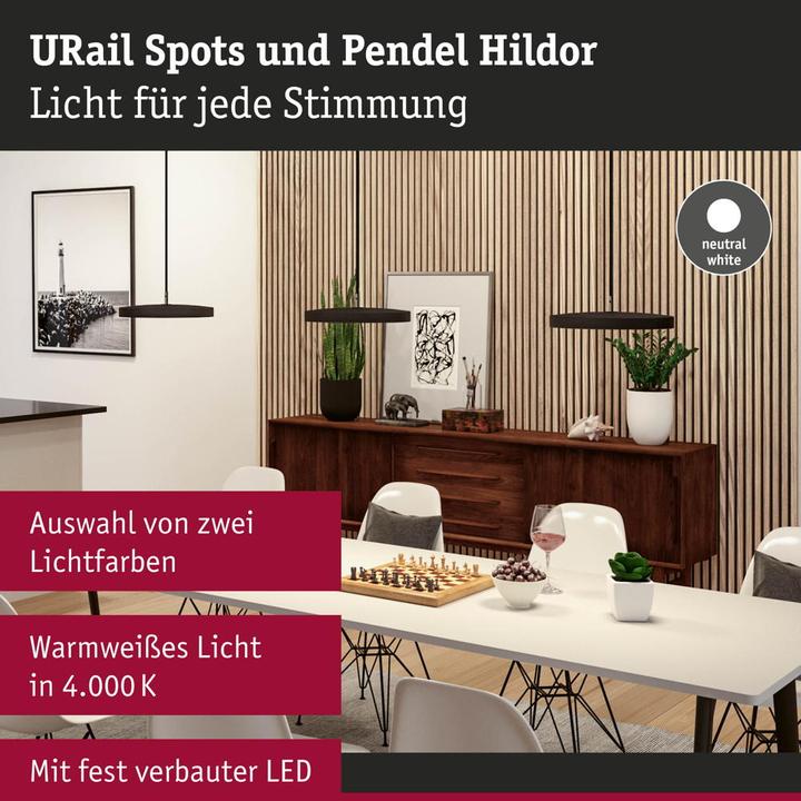 Produktbild Paulmann URail Pendel Hildor (850 lm)