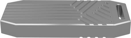 Immagine prodotto Icy Box IB-1919M-C42 (M.2)