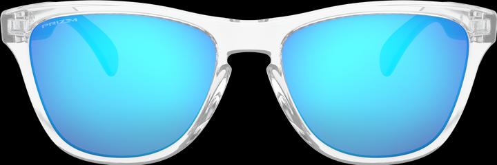 Actual product image Oakley Frogskins XS