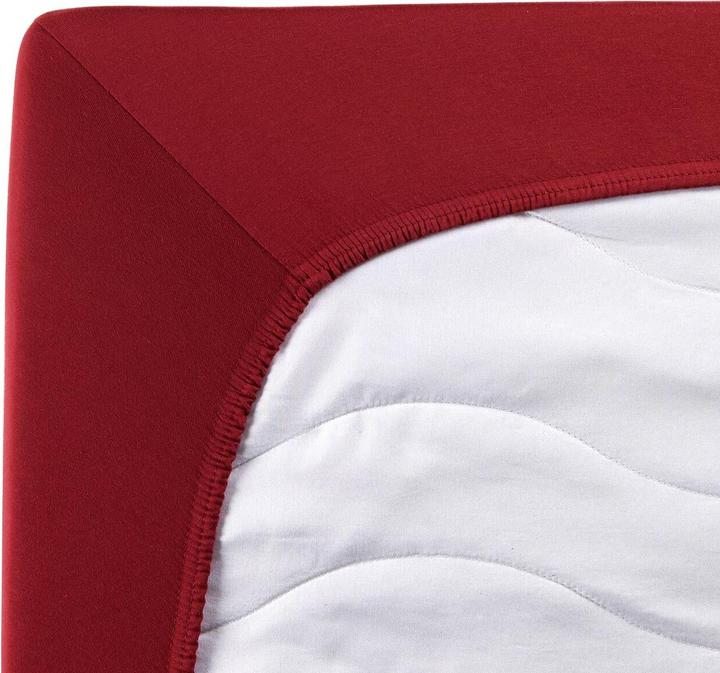 Immagine prodotto Traumschlaf Jersey-Elasthan Stretch (90 x 220 cm, 100 x 220 cm)