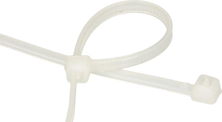 Produktbild Max Hauri Kabelbinder (Kunststoffkabelbinder, 100 mm, 100 Stk.)