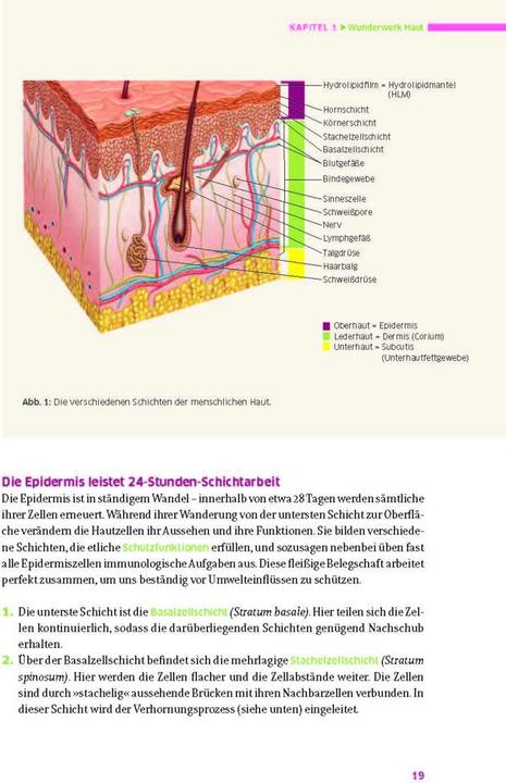 Actual product image Das grosse Buch für die gesunde Haut (German, Ruth of Brunswick, Ingeborg Stadelmann, Natalie Stadelmann, 2022)