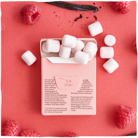 Image du produit True Gum Framboise et vanille (1 pcs, 21 g)