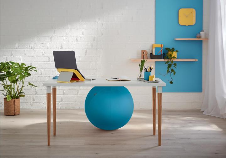 Produktbild Leitz Ergo Cosy Active Sitzball (65 cm)