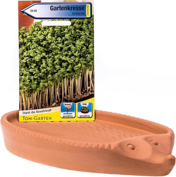 Actual product image Römertopf Cress hedgehog