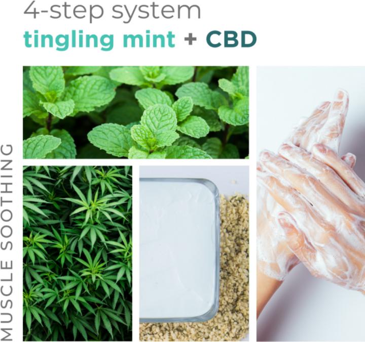 Actual product image Bcl Spa Tingling Mint 4 Step System (Foot bath, Foot mask, 20 ml)