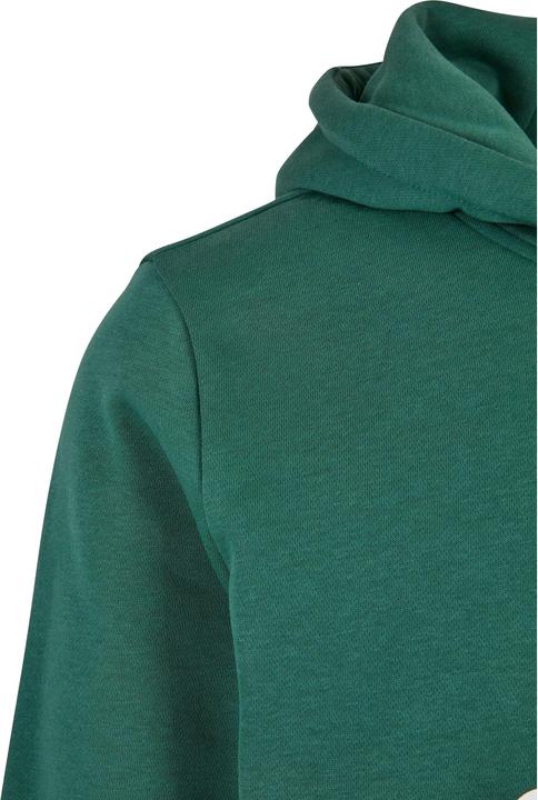 Actual product image Starter The Classic Logo Hoody (M)
