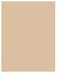 Immagine prodotto The Balm Mary-Lou Manizer (Beige)