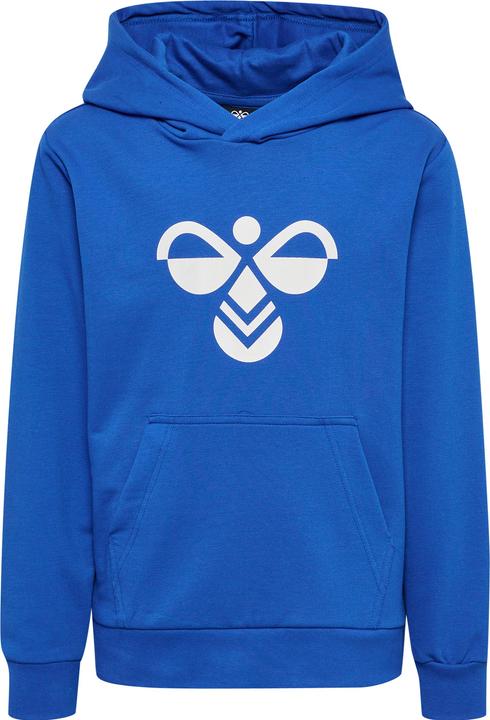 Actual product image hummel hmlCUATRO HOODIE (134)