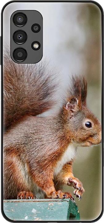 Squirrels