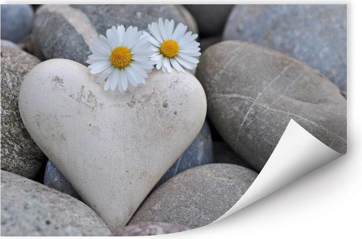 Image du produit Trenddeko Fleurs d'amour (60 x 45 cm)