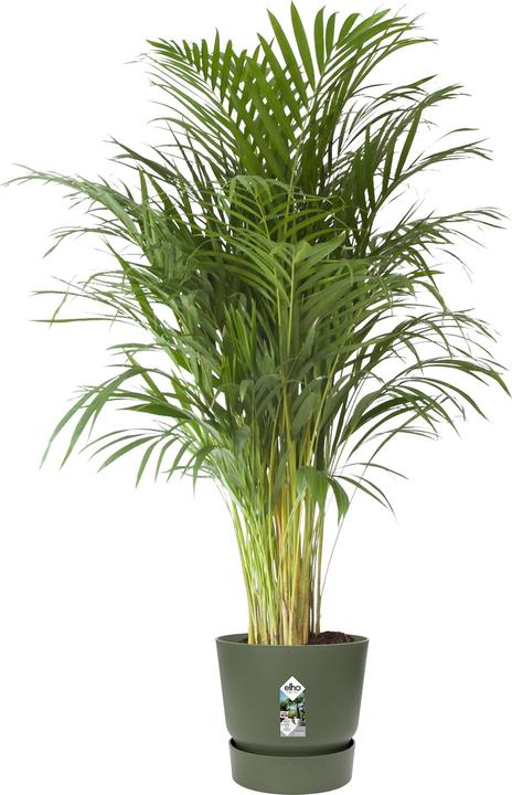 Immagine prodotto Elho Greenville (47 cm)