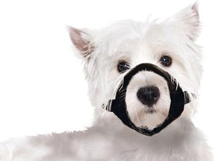 Actual product image Karlie Muzzle Nylon S (S, Dog, Dog sport)