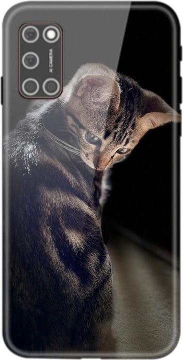 Young cat