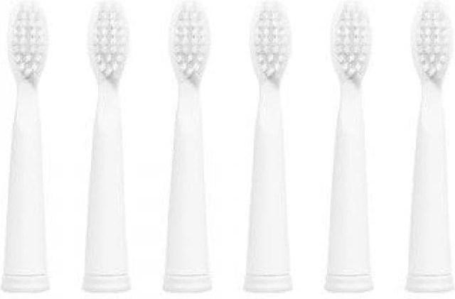 Image du produit Ailoria Têtes de brosse de rechange (6 x)