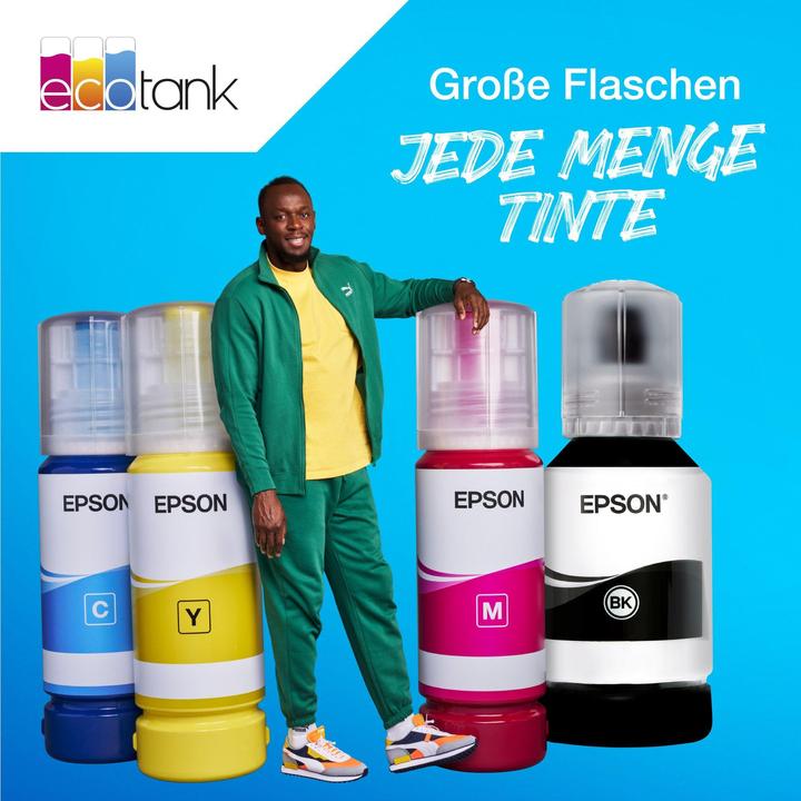 Image du produit Epson 113 (M)