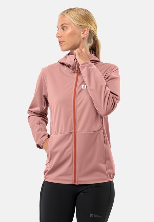 Image du produit Jack Wolfskin Feldberg Hoody W (XS)