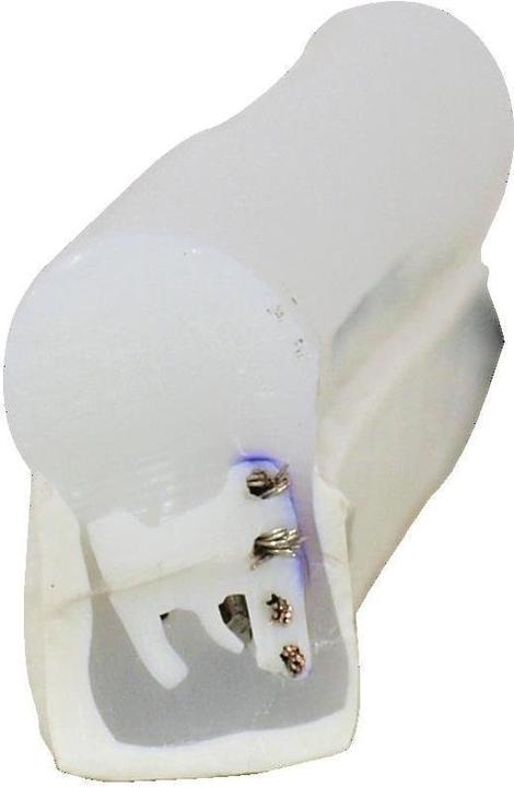 Image du produit Eurolite LED Néon Flex 230V EC RGB 100cm