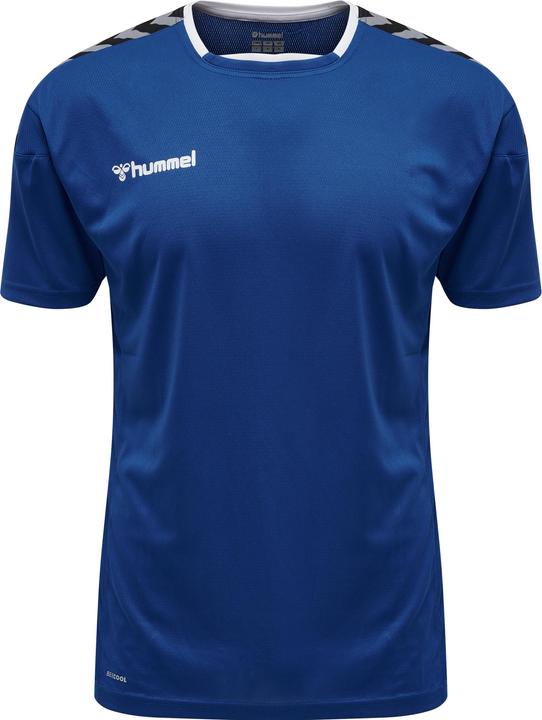 Trueblue