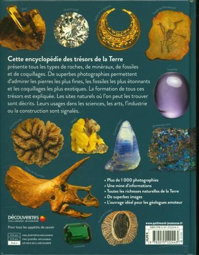 Actual product image Roches, minéraux, pierres précieuses (French, Collectif, 2020)