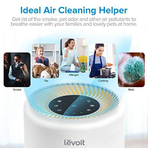 Image du produit Levoit purificateur d'air (21 m²)