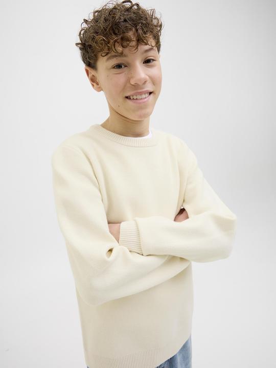 Actual product image Jack & Jones Strickpullover Junior Strickpullover (176)