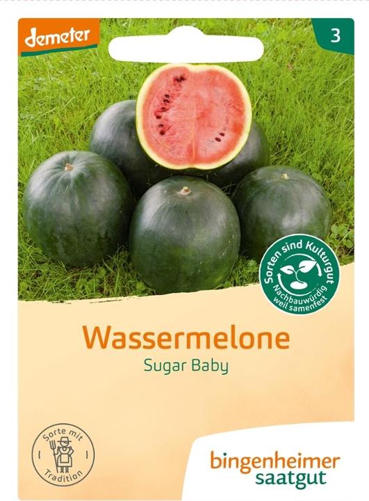 Actual product image Bingenheimer Saatgut Watermelon Sugar Baby (Seedlings)