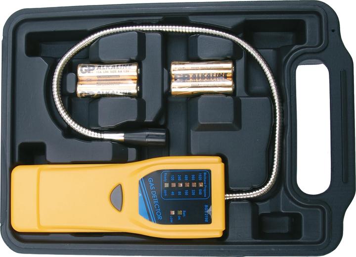 BGS Détecteur de gaz