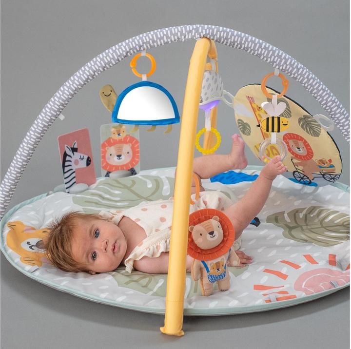 Actual product image Taf Toys Savannah