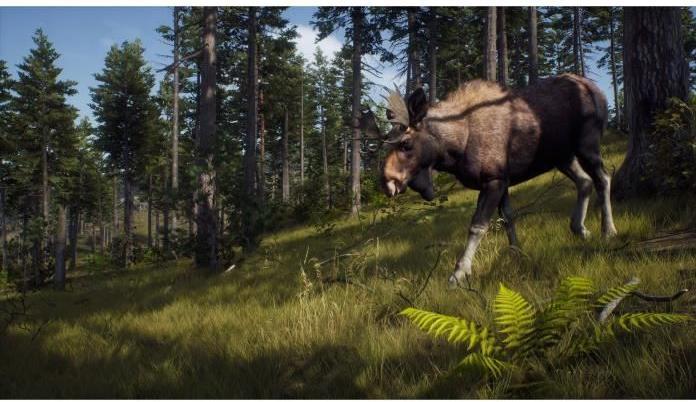 Actual product image THQ Way of the Hunter (PS5, EN, FR, IT)