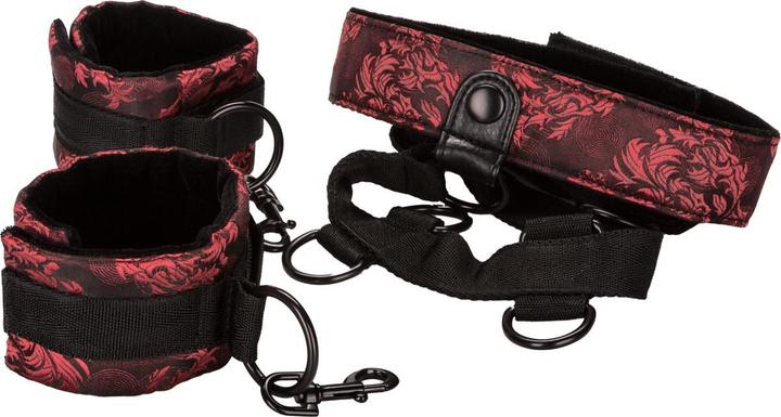 Produktbild CalExotics Scandal Collar Body Restraint