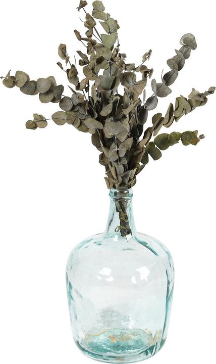 Actual product image Dijk Eucalyptus - Eucalyptus (Dried flowers)
