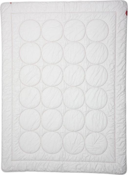 Produktbild Zizzz Ganzjahres Duvet Wolle (Swisswool) (1160 g, 200 x 200 cm)