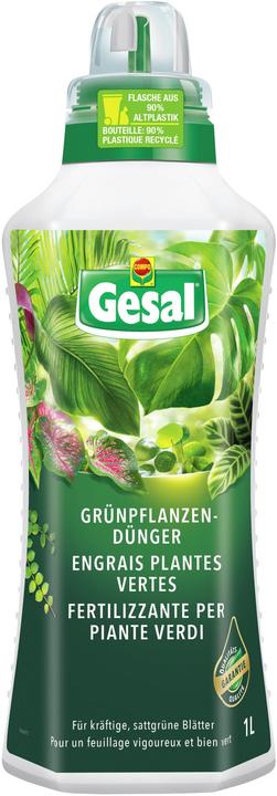 Gesal Grünpflanzendünger (1.29 kg, 1 l)