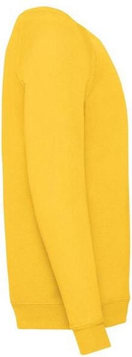 Produktbild Fruit of the Loom Pullover (104)