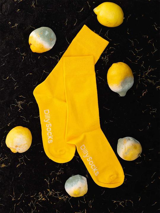 Produktbild DillySocks D-Compose (2er Pack, 35 - 38)
