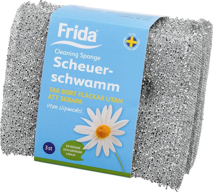 Image du produit Frida Éponge de nettoyage pailletée 3 pièces (3 pcs)