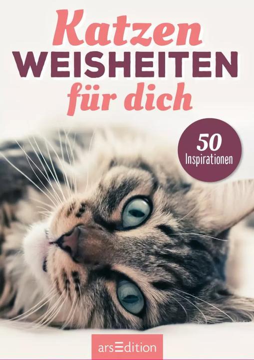 Produktbild Kartenbox Katzenweisheiten (Deutsch, 2023)