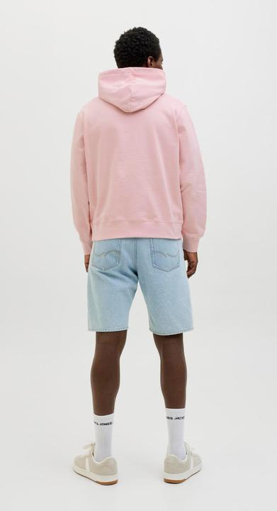 Actual product image Jack & Jones Logo Kapuzenpullover Kapuzenpullover (M)