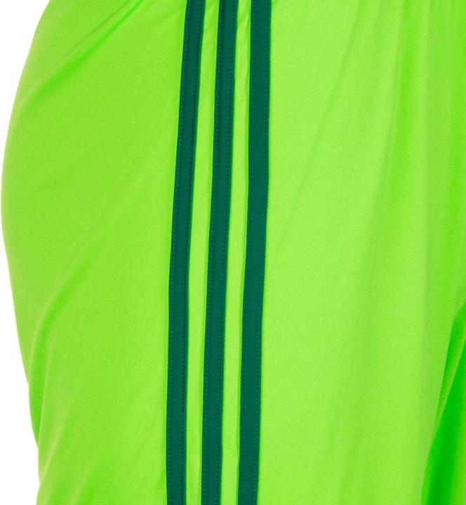 Actual product image adidas Regista 18 Short men (M)