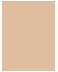 Image du produit L'Oréal Paris True Match (2N)