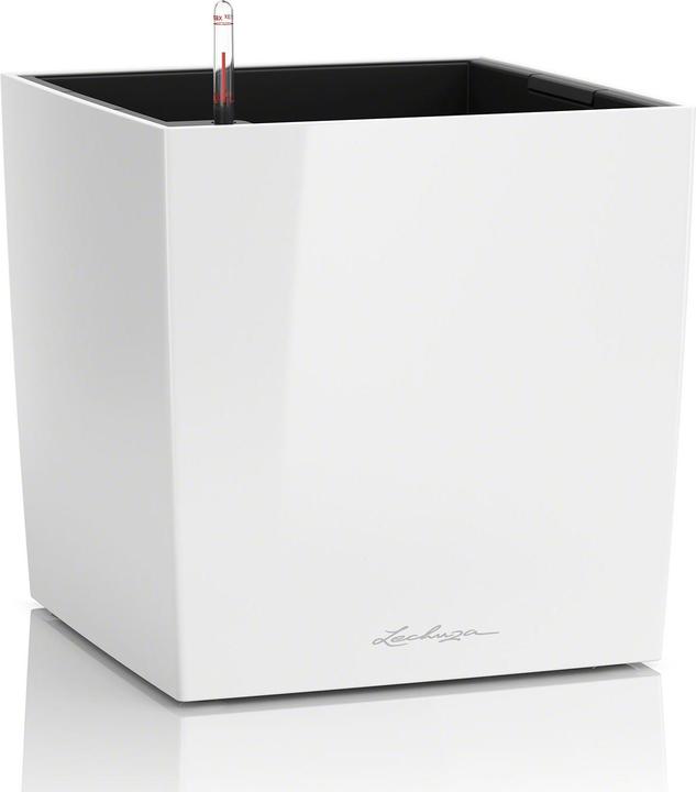 Lechuza Cube 50 (49 cm)