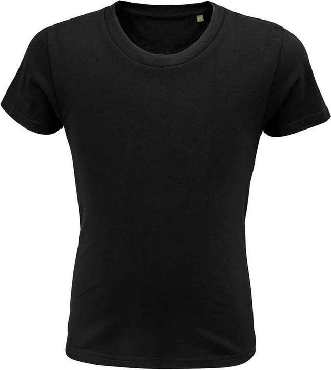 Sols Childrens/Kids Pioneer Organic T-Shirt (152)