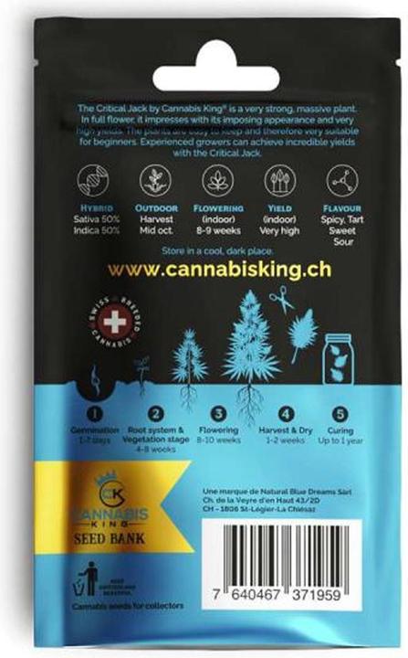 Immagine prodotto Cannabis King Semi di Jack Critico 3 pezzi (Semi di piante)