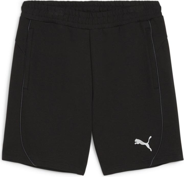 pumablackpumasilver