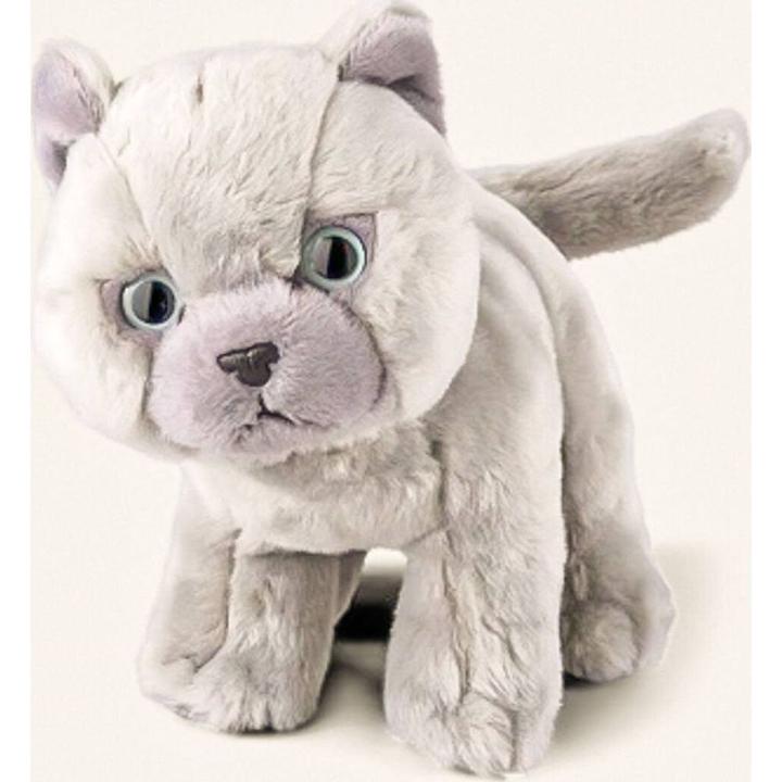 Produktbild Living Nature British Grey Kurzhaar Kätzchen (16 cm)