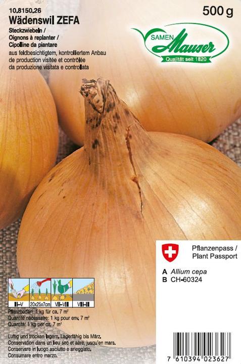 Produktbild Samen Mauser Steckzwiebel Wädenswiler ZEFA (Gemüsesamen)