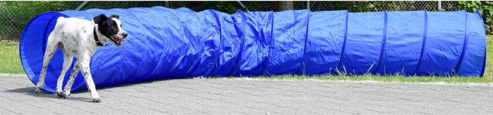 Actual product image Dobar Agility tunnel (Agility)
