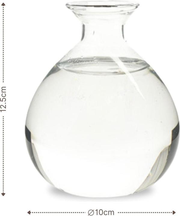 Immagine prodotto Hermex Avocadobaum-Glas Avocado-Vase Hydrokultur-Vase Hyazinthenglas (10 cm)